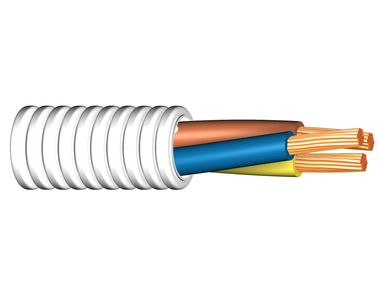 Image of Twisted EQ 450/750 V cable