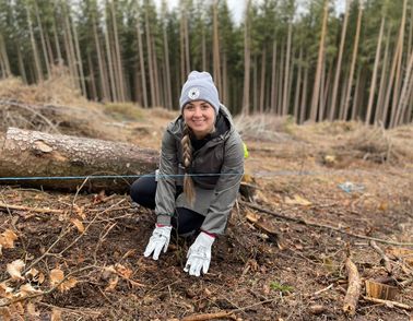 Planting trees